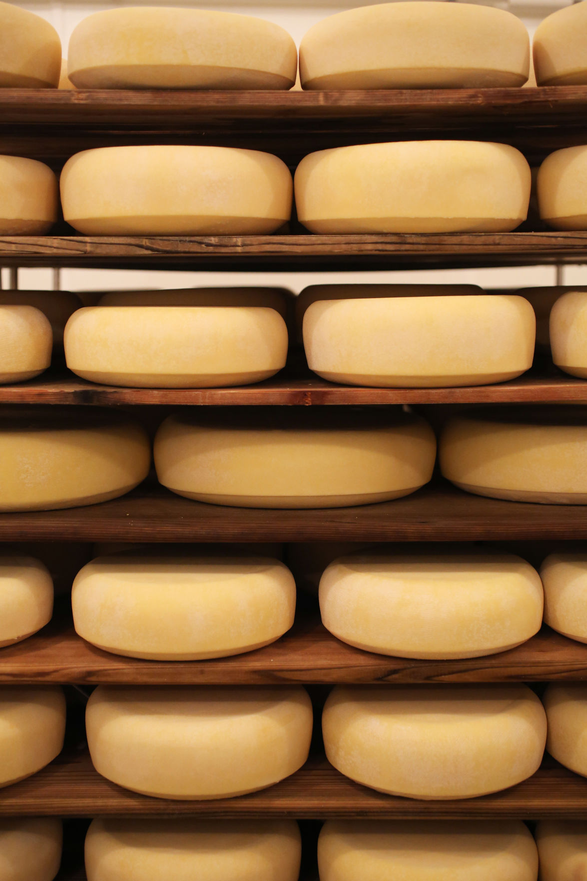 Uplands Cheese Co.